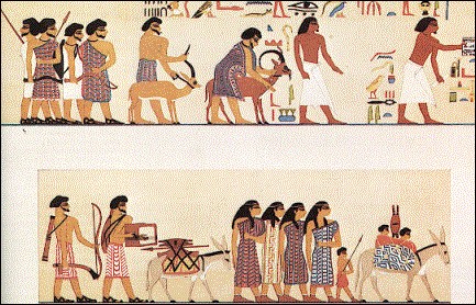 Biblical Egyptology Course